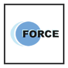 Force Ten Technologies